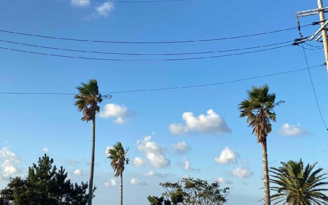 The Sea of Jeju Dream