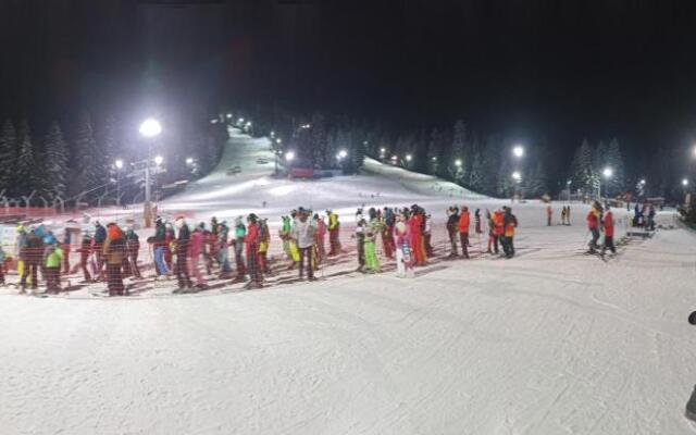 Iglika 2 Snowy Night V18