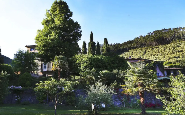 Bio Agriturismo Alle Camelie