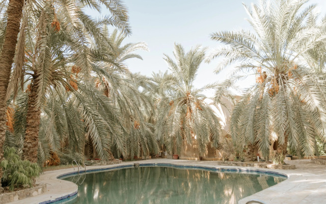siwa safari paradise hotel