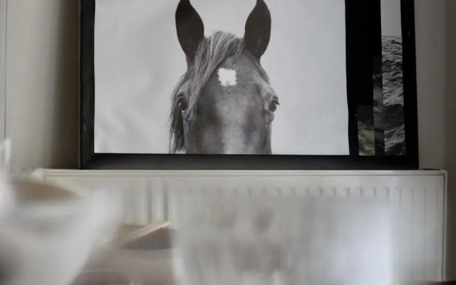 Unique and Renovated House Down Town Nicosia - Old City