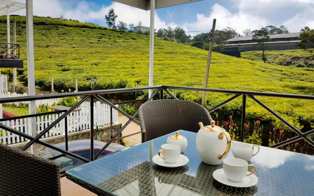 The Tea Garden