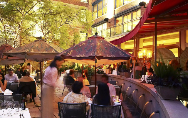 The Ivy at Verity