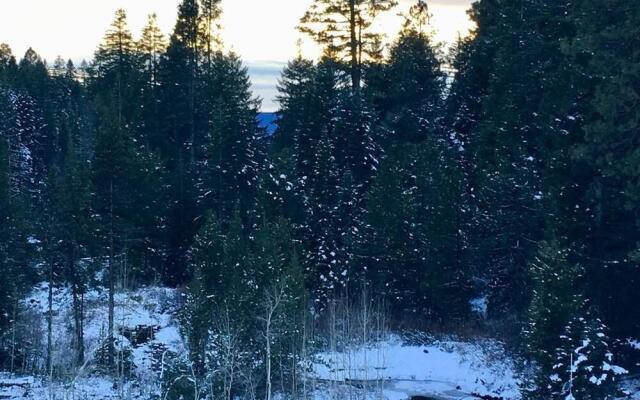 Mountain Pine Cabin - Sleeps 6 - Pet Friendly