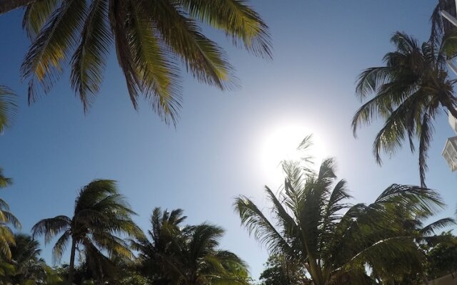 Caribbean Casa Blanca