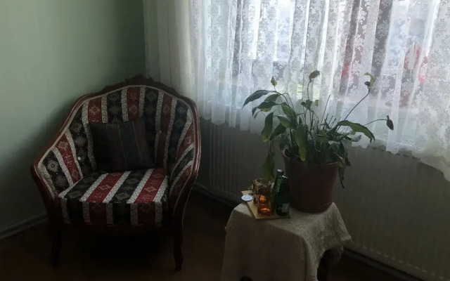Mavi Ladin Konukevi