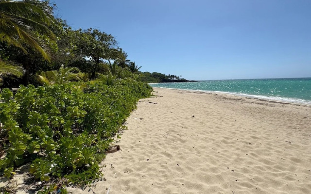 Roatan Infinity Pool & Ocean View