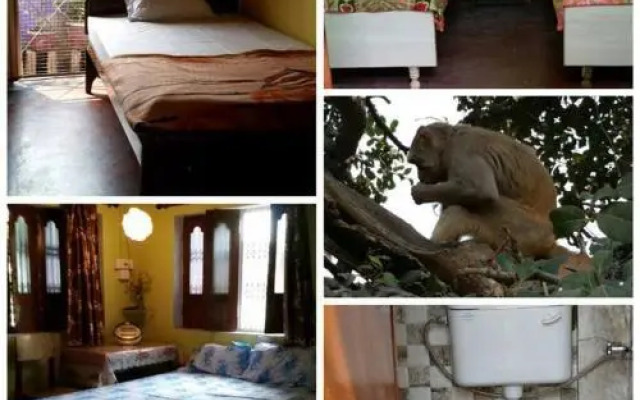 Paradise Inn Guest House