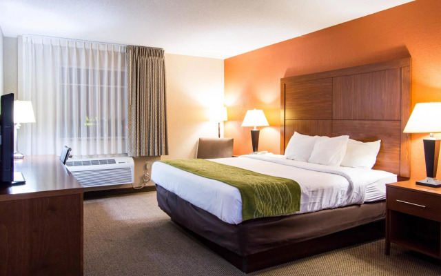 Comfort Inn & Suites Charleston Airport Convention Center