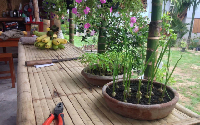 Ming Guesthouse