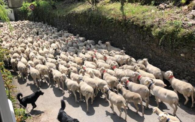 Le Moulin de Bouzigue