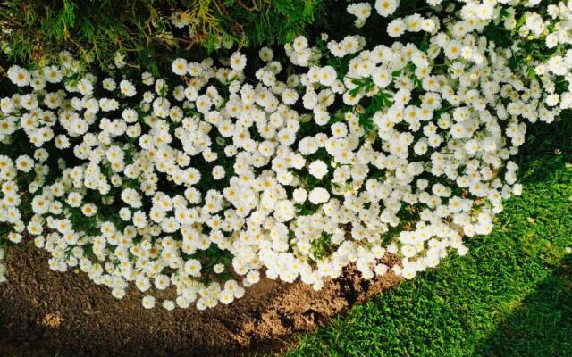 Hotel Hilton View Shimla