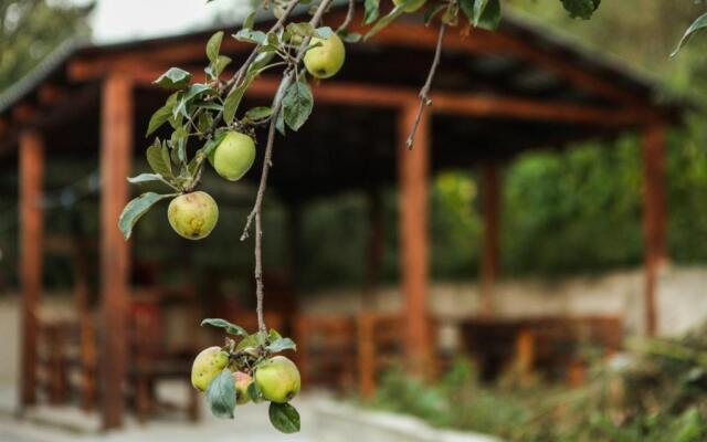 Guest house Dilijan Orran