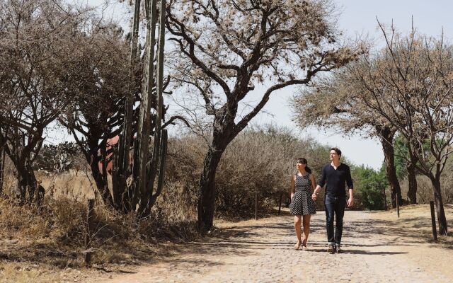 Viñedos Puerta del Lobo