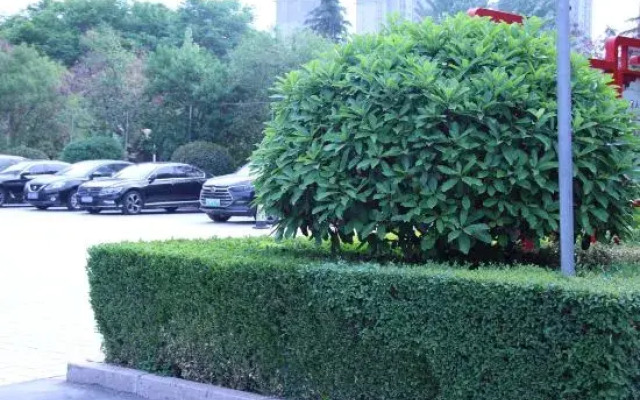 Zhongzhou International Hotel