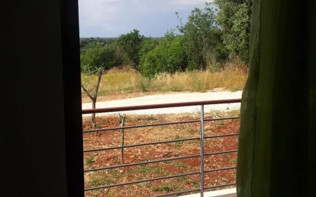 Apartment Lavanda