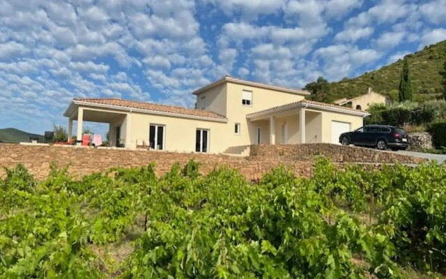 Villa L'esquirrol Vineyard Escape