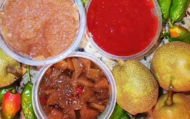 Pousada Caminho dos Ipês