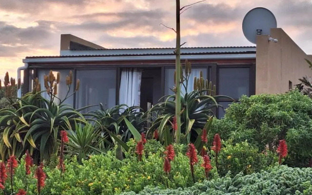 Penguin Place by AirAgents