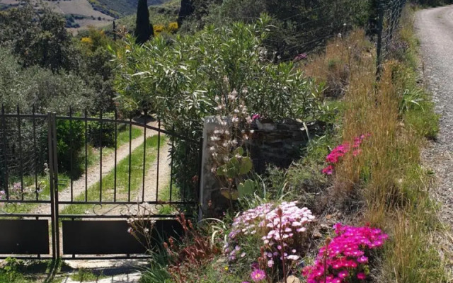 Mas Del Roumany (Adults Only)