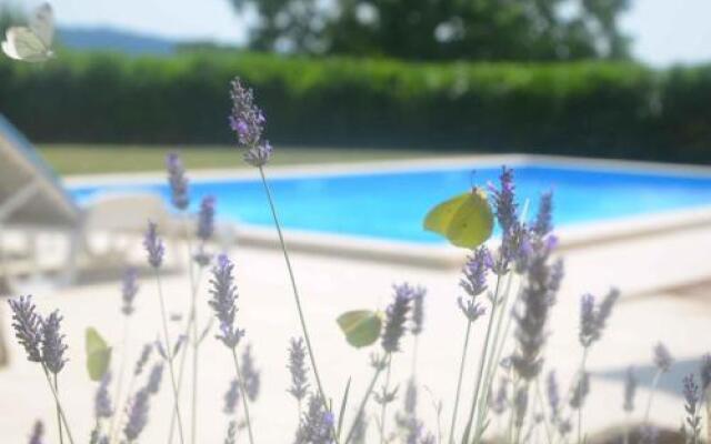 Holiday home in Tinjan/Istrien 10008