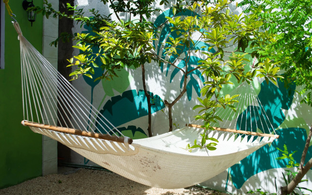 Oryx Valladolid - Hostel