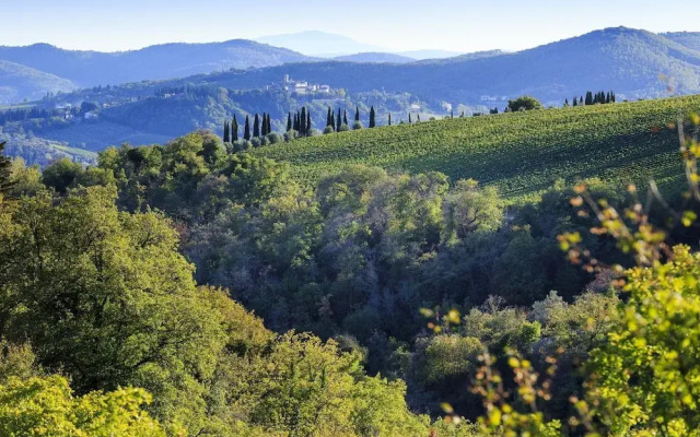 Colto Dei Pallanti in Radda in Chianti