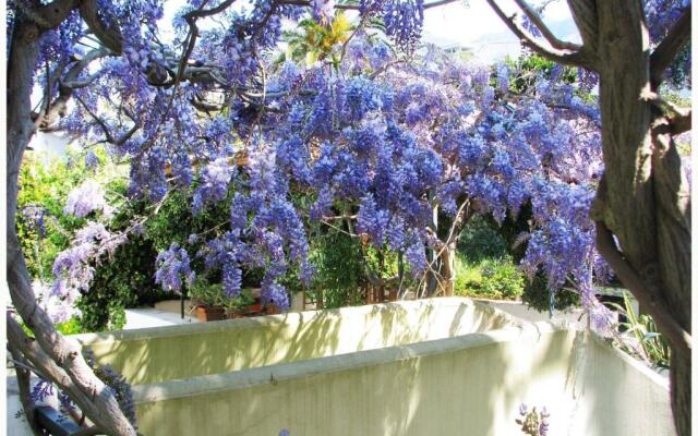 B&B La Salamandra Kitchengarden