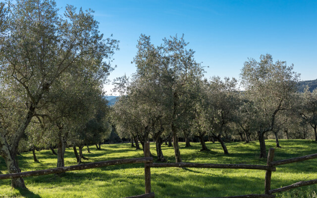 Tenuta La Bandita