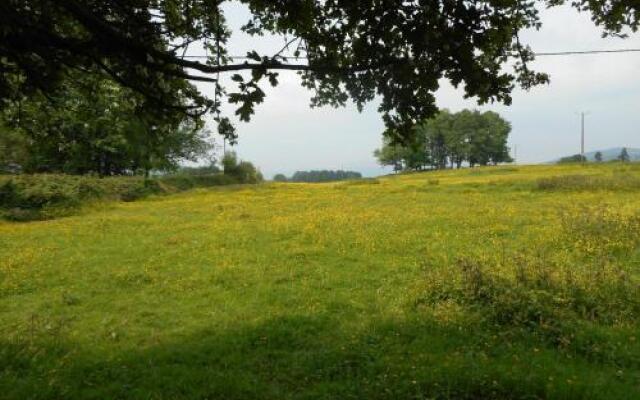 Llansabbath Country Farmhouse B&B