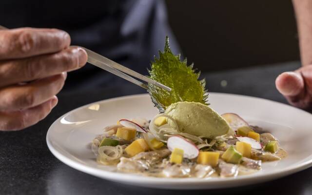 Hôtel Spa Restaurant Villa Castellane