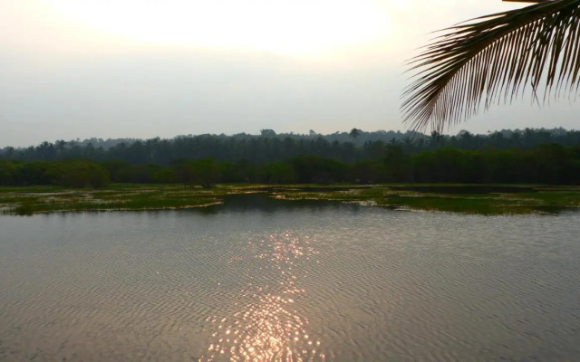 Ocean Green Kerala
