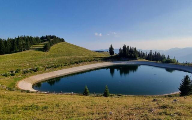 Apartment MOUNTAIN PARADISE Golte