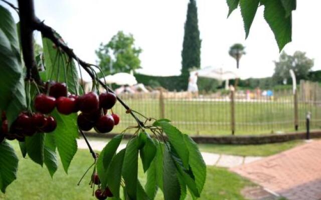 Agriturismo Serena