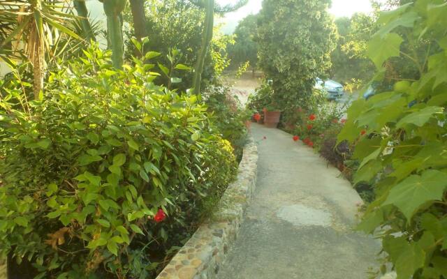 Afentoulis Studios