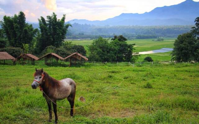 Phrao Camping Village