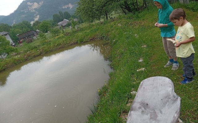 Room in Guest Room - Rural Holiday Transylvania