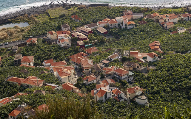 Oscar's House by An Island Apart