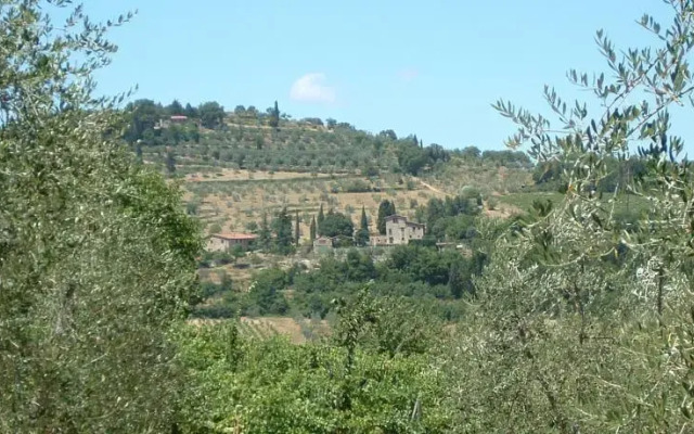 Masseto In Chianti