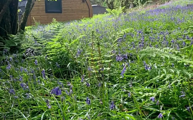 The Highland Hideaway Pod