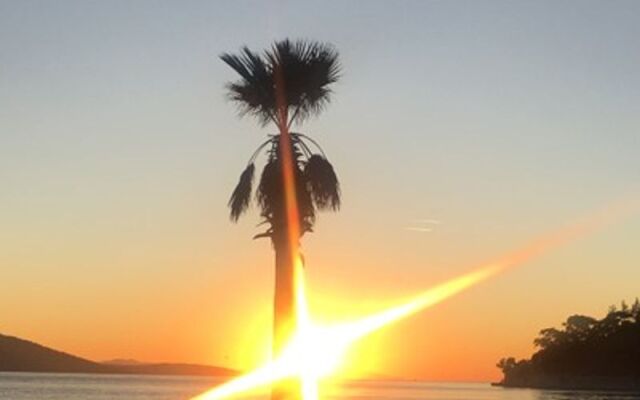 Akçapınar Altın Konakları