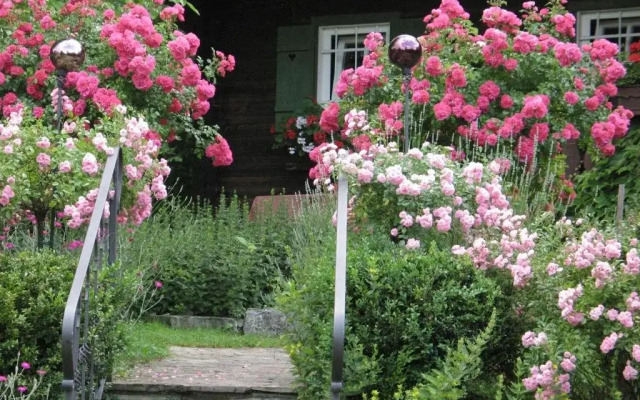 Altes Gehöft am Lormanberg