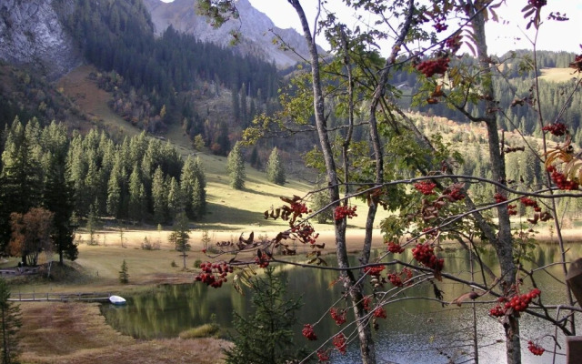 Am Schilf Lauenen in Lauenen