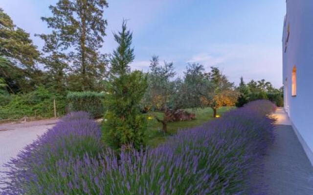 Villa Kate Istria