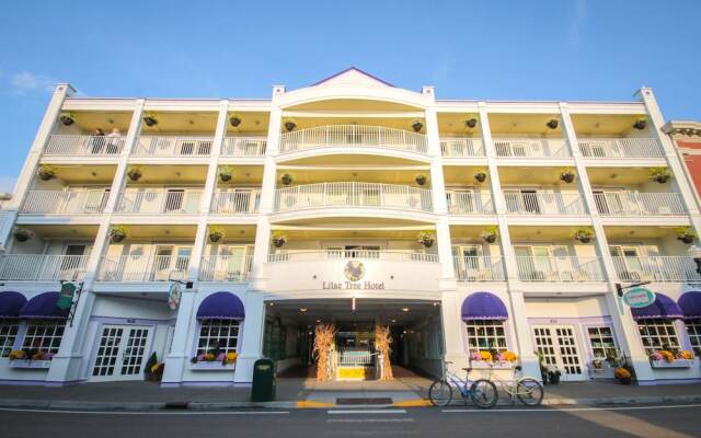 Lilac Tree Suites