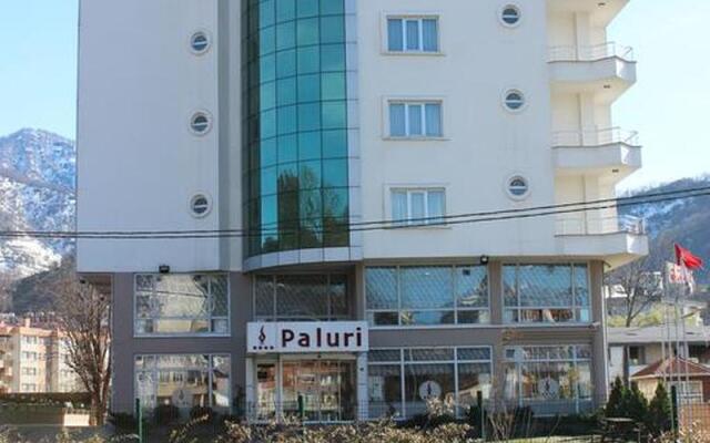 Paluri Hotel