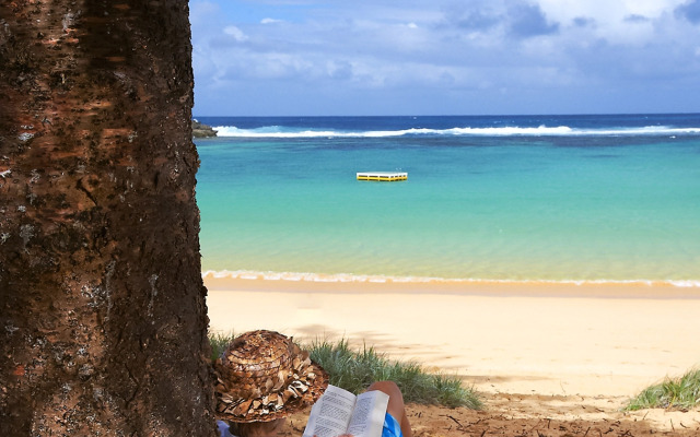 Paradise Hotel And Resort