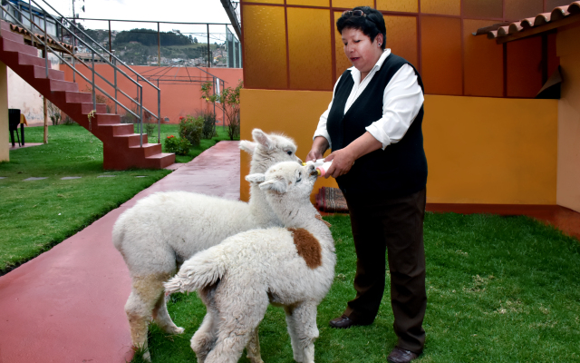 Imperial Cusco Hotel
