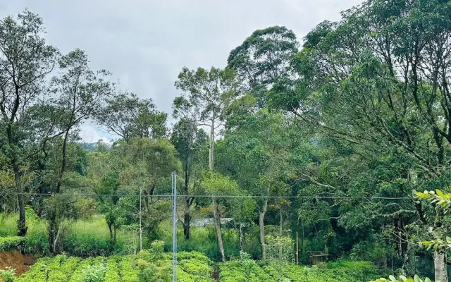 Tgarden resort