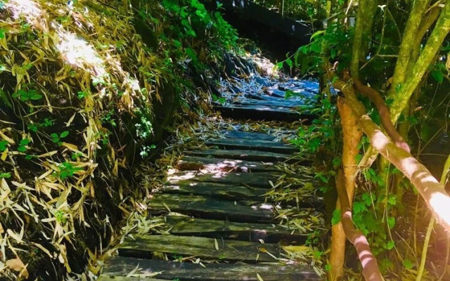 Refugio Buraleo Lodge